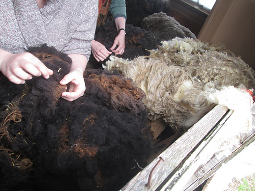 FleeceInspection-Liz